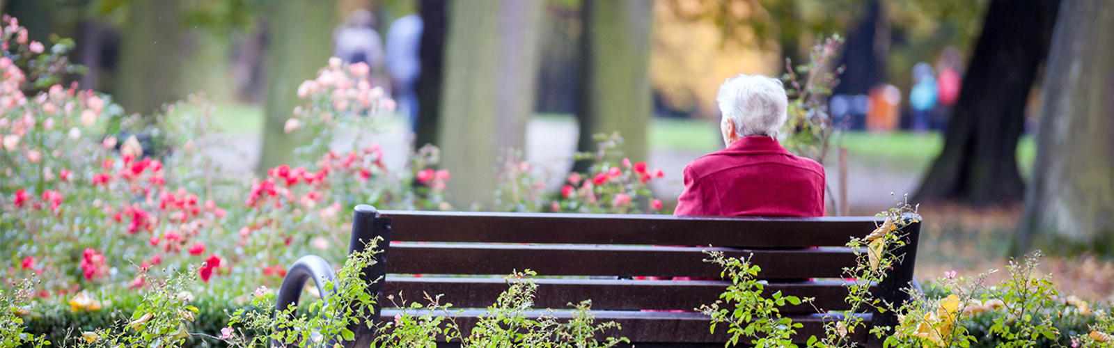 En äldre kvinna fotograferad bakifrån, sitter ensam på en parkbänk