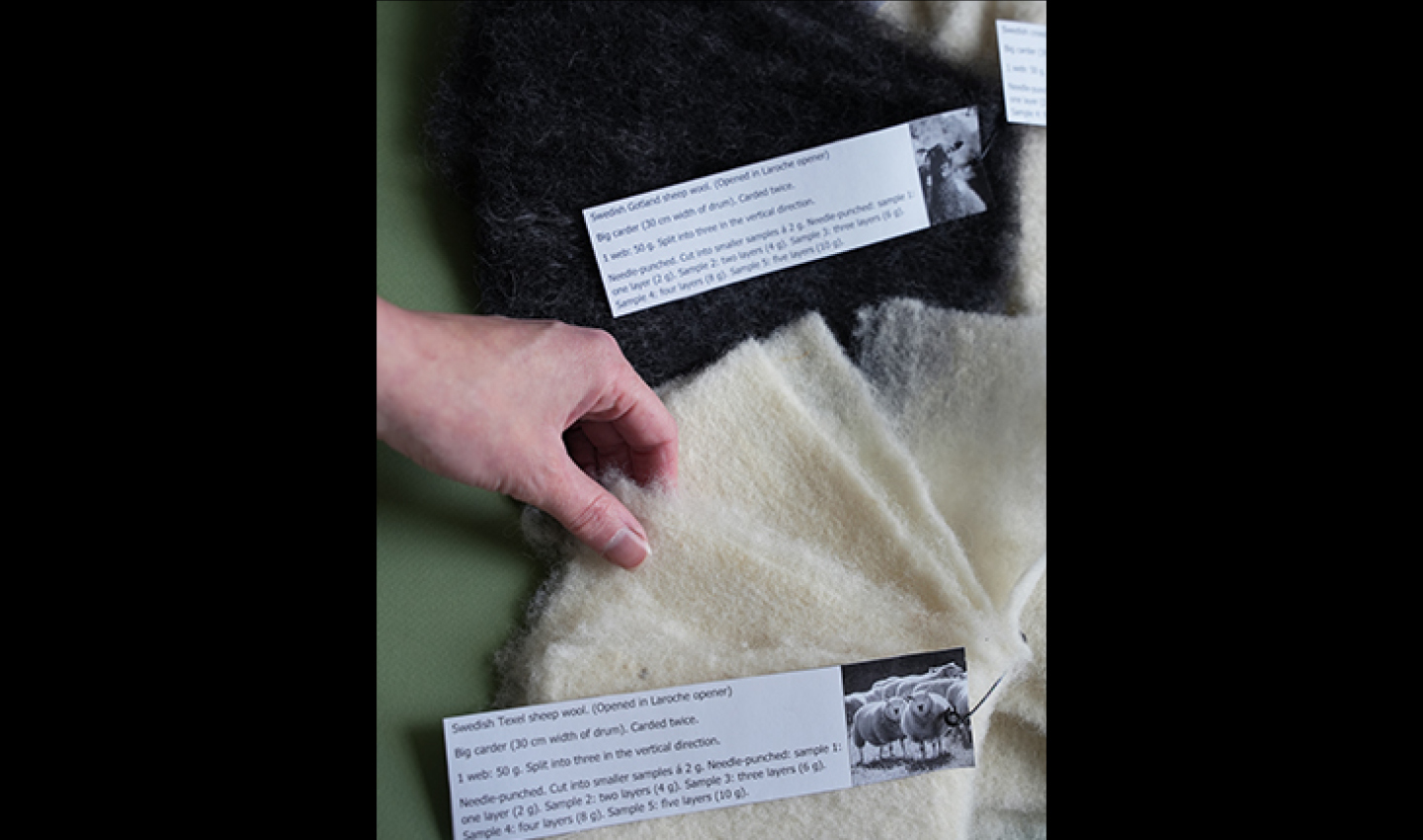 PhD arbete Matilda Falk