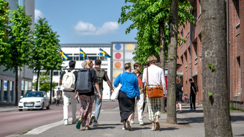Students walking towards the university