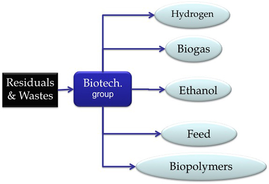 biotechnology as a tool for solving environmental problems