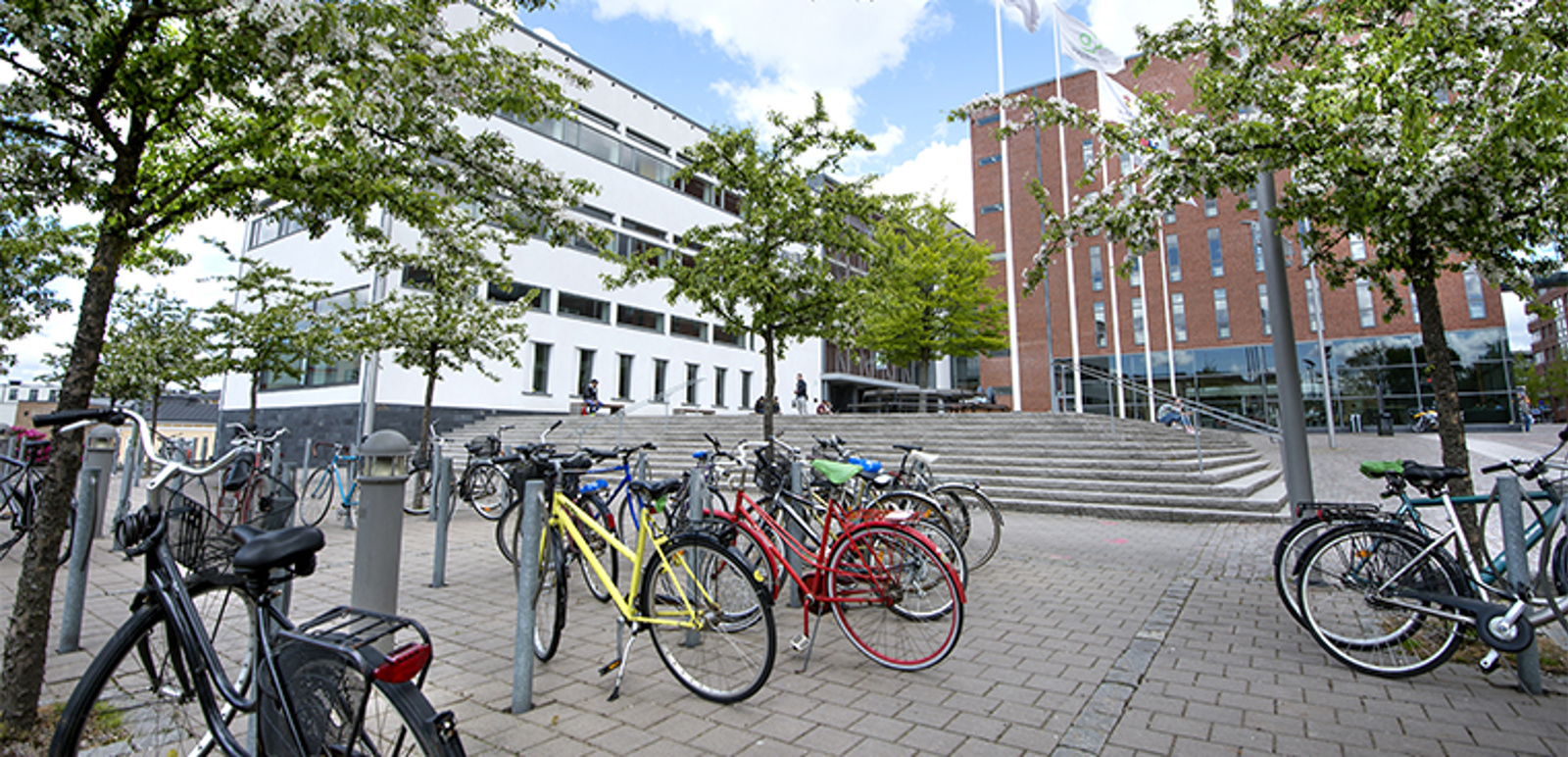 Bild på högskolans cykelparkering