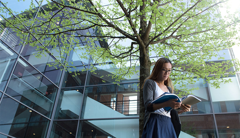 Bild på student som läser bok vid ett träd