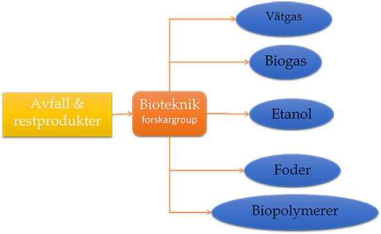 Bioteknik forskargrupp
